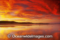 Seascape Coffs Harbour Photo - Gary Bell