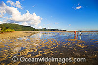 Beach combing Hayman Island Photo - Gary Bell