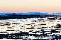 Hayman Island low tide Photo - Gary Bell