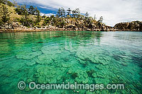 Coral reef coastal Whitsundays Photo - Gary Bell