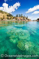 Coral reef Whitsundays Photo - Gary Bell