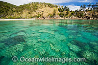 Coral reef Whitsundays Photo - Gary Bell
