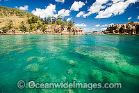 Coral reef coastal Whitsundays Photo - Gary Bell
