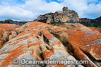 Flinders Island Tasmania Photo - Gary Bell
