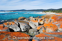Holloway Point Flinders Island Photo - Gary Bell