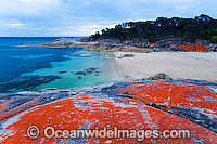 Trousers Point Cove Flinders Island Photo - Gary Bell