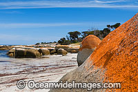 Sawyers Beach Flinders Island Tasmania Photo - Gary Bell