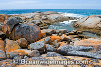 Flinders Island Tasmania Photo - Gary Bell