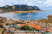 Flinders Island Tasmania seascape Photo - Gary Bell