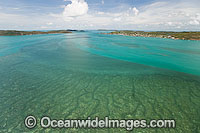 Torres Strait sea grass beds Photo - Gary Bell