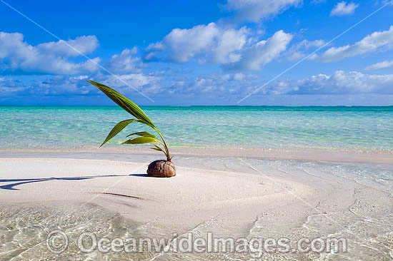 Tropical beach Cocos Islands photo