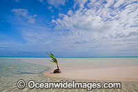 tropical beach Cocos Islands Photo - Gary Bell