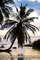 coconut palm beach Cocos Islands Photo - Gary Bell