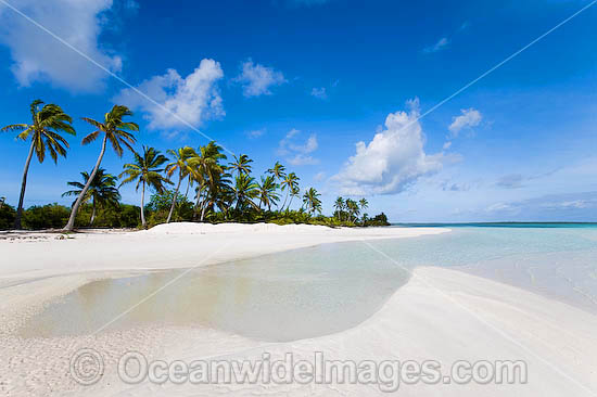 coconut palm beach Cocos Islands photo