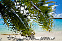 Tropical beach Cocos Islands Photo - Gary Bell