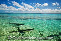 Coral reef Cocos Keeling Islands Photo - Gary Bell
