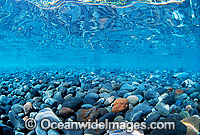 Rocky Ocean Shore Photo - Gary Bell
