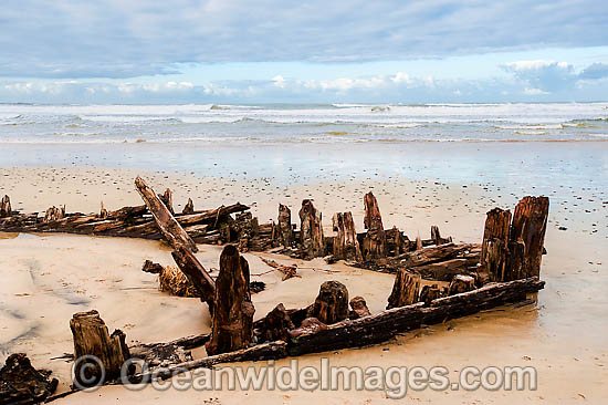 Shipwreck Buster photo