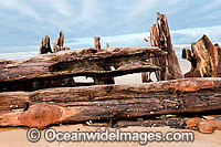 Shipwreck Buster Photo - Gary Bell