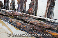 Shipwreck Woolgoolga Photo - Gary Bell