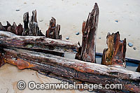 Woolgoolga Shipwreck Photo - Gary Bell