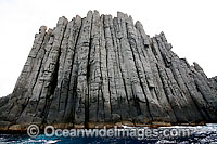 Dolerite sea cliffs Tasmania Photo - Inger Vandyke