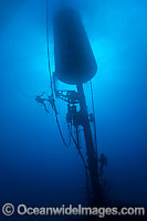 Diver installing Wave Energy Buoy Photo - David Fleetham