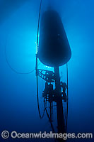 Divers works on Wave Energy Buoy Photo - David Fleetham
