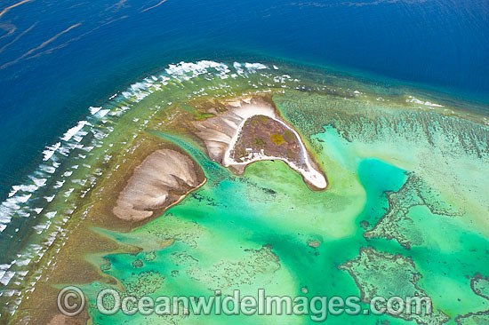 One Tree Island aerial photo