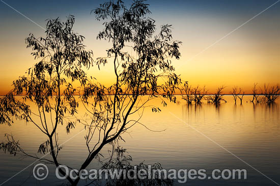 Lake Menindee at twilight photo