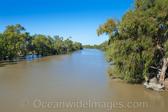 Murray Darling River in flood photo