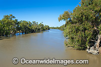 Murray Darling River in flood Photo - Gary Bell