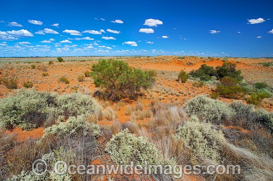 Outback Broken Hill photo