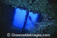 Yongala Shipwreck and Scuba Diver Photo - Gary Bell