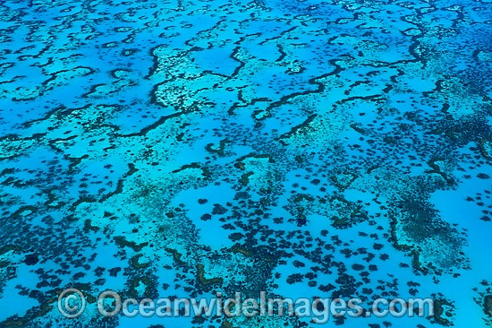 Wistari Reef Lagoon photo