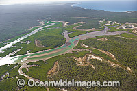 Curtis Island Mangrove wetland Photo - Gary Bell