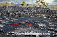Pahoehoe lava Kilauea Volcano Photo - David Fleetham