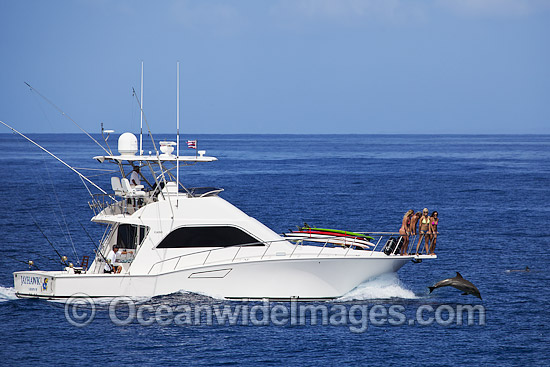 Gamefishing Boat with Dolphin at bow photo