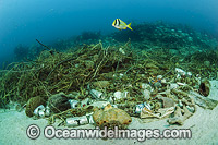 Garbage on coral reef Florida Photo - Michael Patrick O'Neill