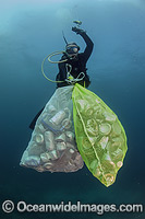 Scuba Diver collecting cans and garbage Photo - Michael Patrick O'Neill