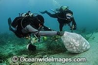 Scuba Diver picking up garbage off reef Photo - Michael Patrick O'Neill