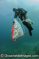 Scuba Diver with cans and garbage Photo - Michael Patrick O'Neill