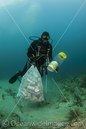 Scuba Diver collects garbage on Coral Reef photo