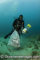 Scuba Diver collects garbage on Coral Reef Photo - Michael Patrick O'Neill