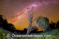 Stars of the night sky Photo - Gary Bell