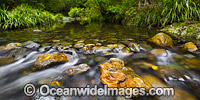 Urumbilum River Bindarri National Park Photo - Gary Bell