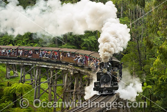 Puffing Billy Belgrave photo