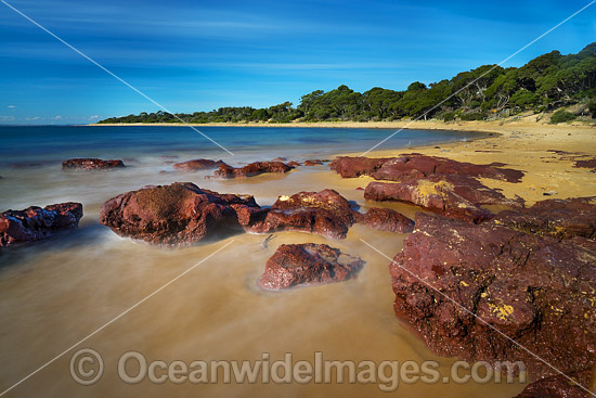 Red Rocks Beach Phillip Island photo