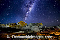 The Milky Way Photo - Gary Bell