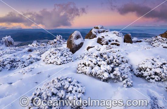 Mount Wellington with snow photo